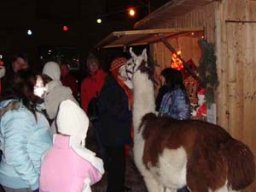 BAuernmarkt in Schaauernheim, vergangene Jahre